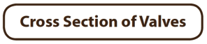 Cross Section of Valves